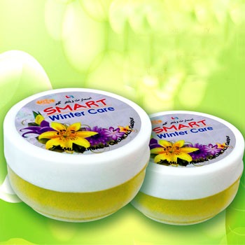 SMART-WINTER-CARE TCTL